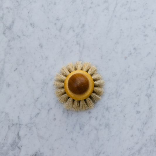 Dish Brush with Round Knob
