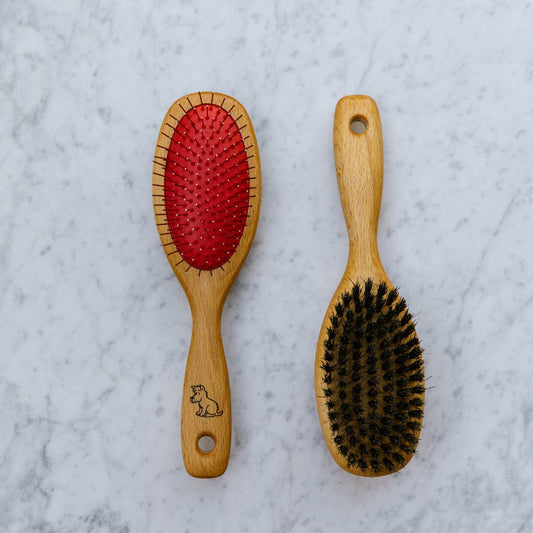 Dog Brush