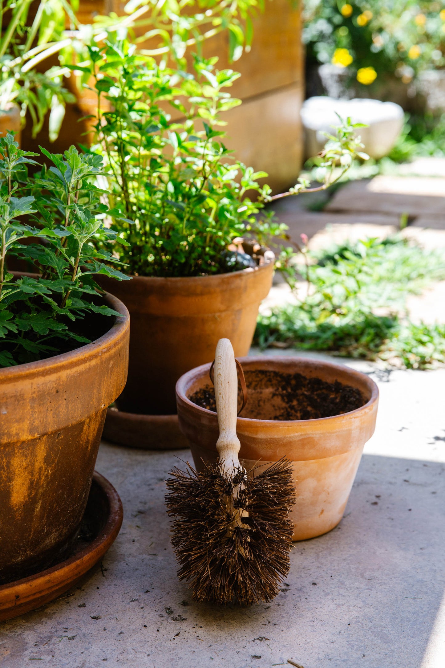 Flower Pot Brush