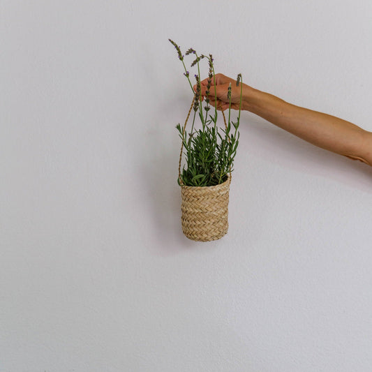 Hanging Basket Vase