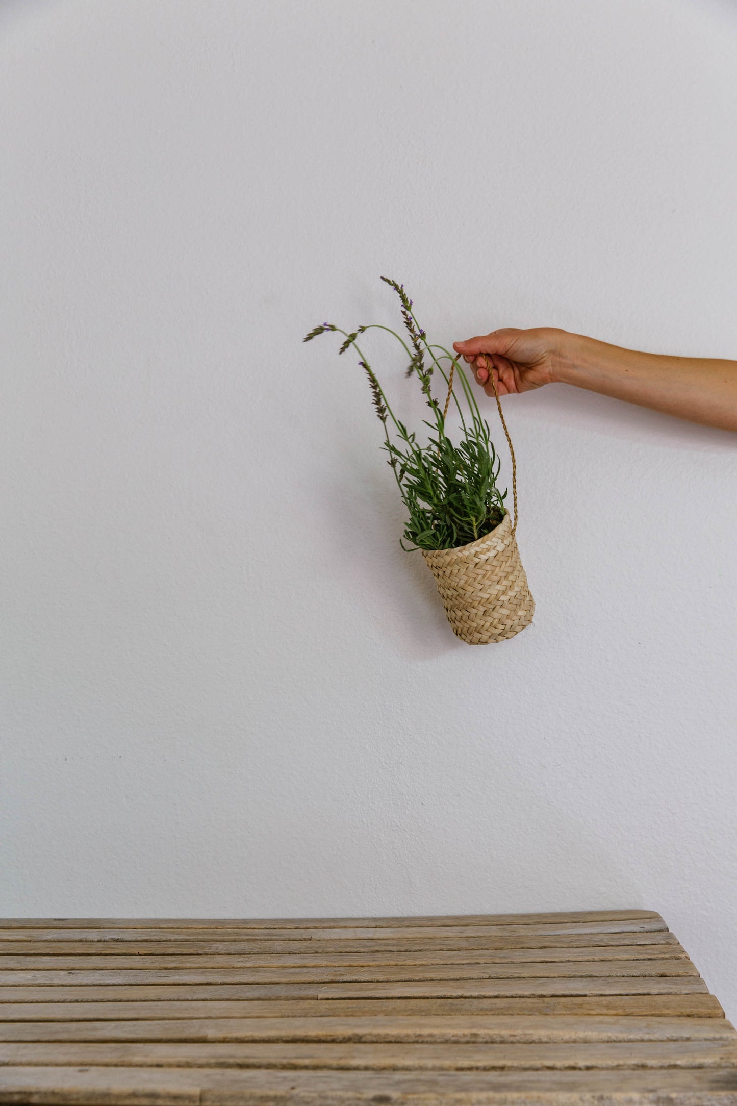 Hanging Basket Vase
