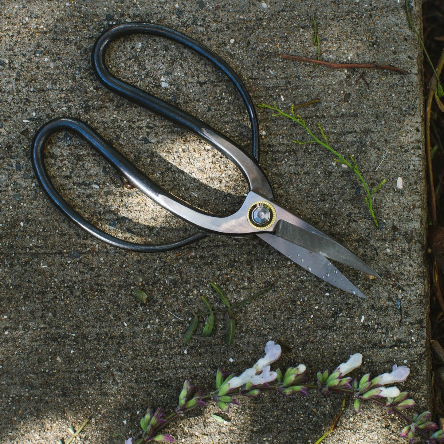 Flower Shears