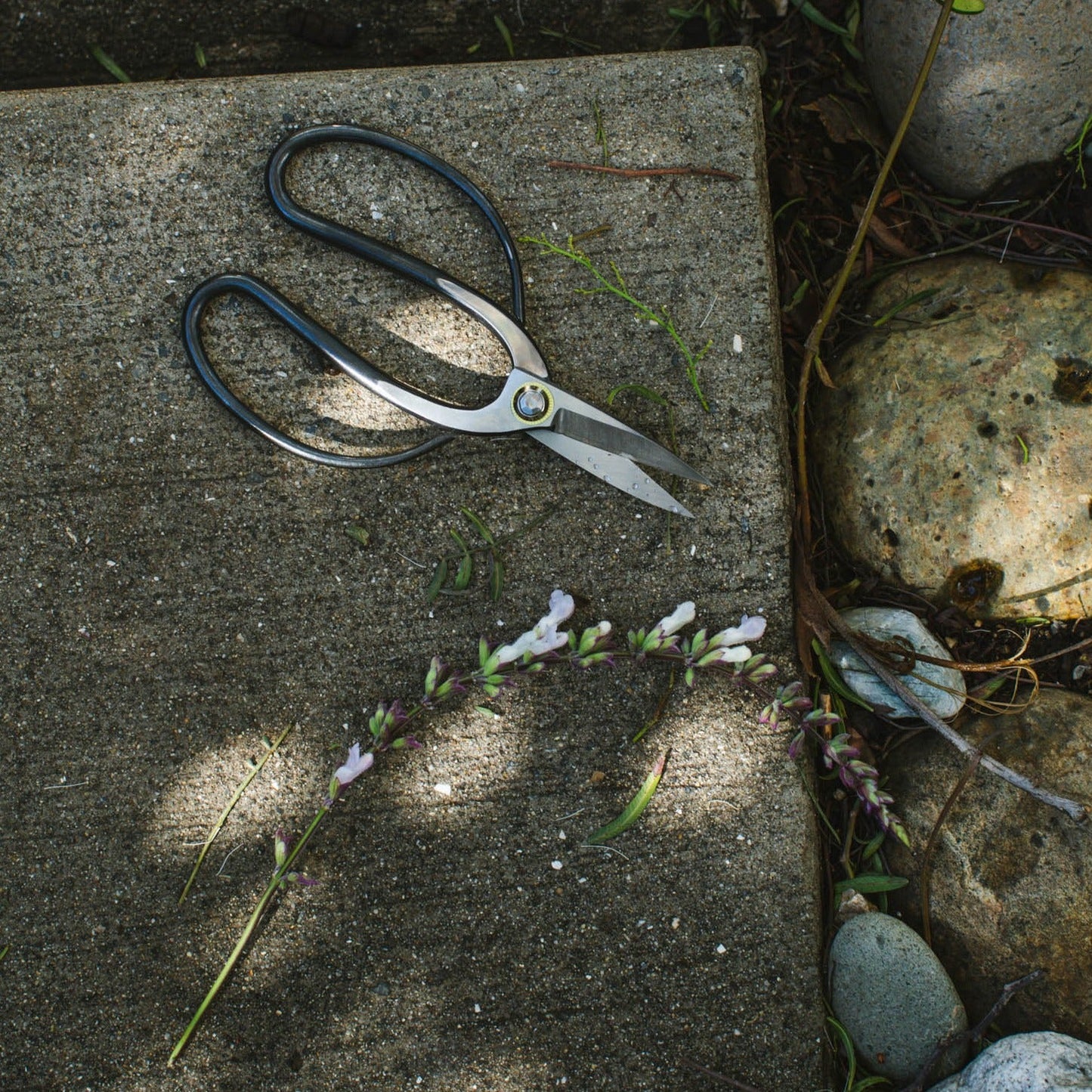 Flower Shears