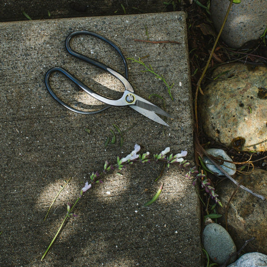 Flower Shears