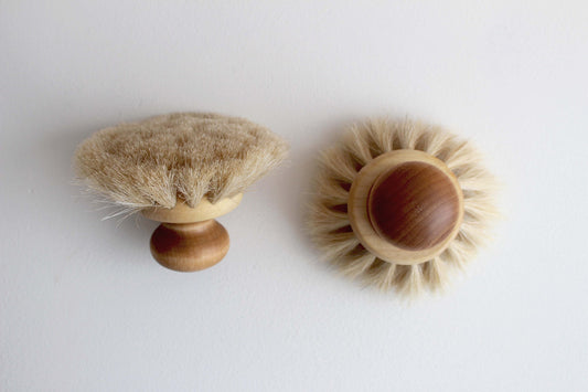 Dish Brush with Round Knob